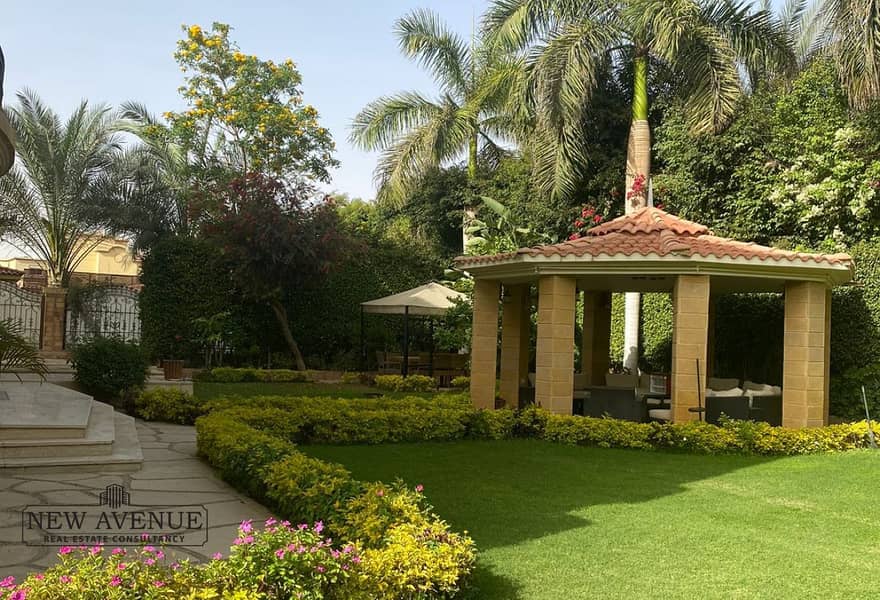 17 65217a26-1ed9-45d8-ad9f-6efc82c52f72_original (5). jpg