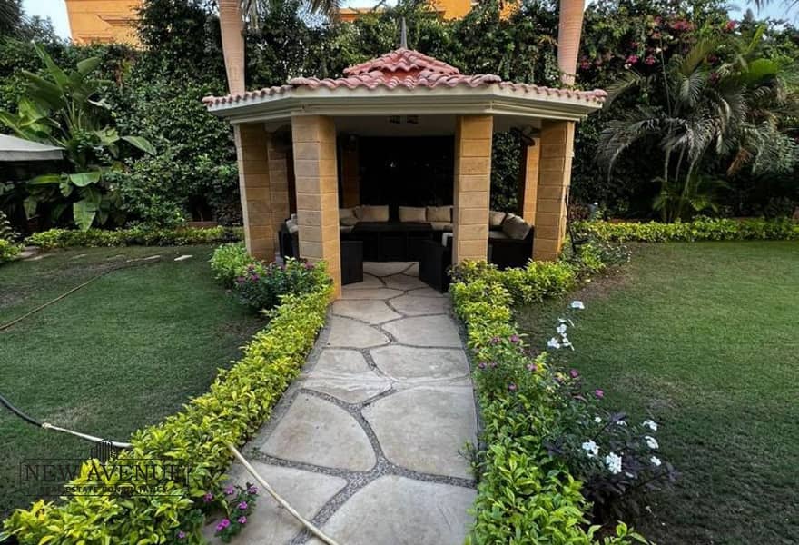 19 65217a26-1ed9-45d8-ad9f-6efc82c52f72_original (3). jpg