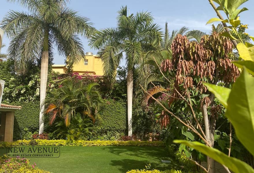 21 65217a26-1ed9-45d8-ad9f-6efc82c52f72_original (1). jpg