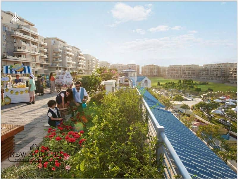 3 IMG-20251106-WA0036. jpg