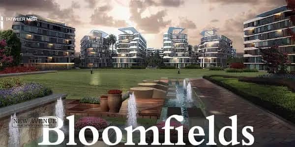 7 IMG-20251122-WA0042. jpg