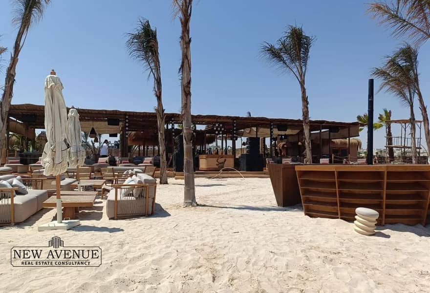 3 3b259e4f-8e5e-428d-9725-949d36ae5273. jpg