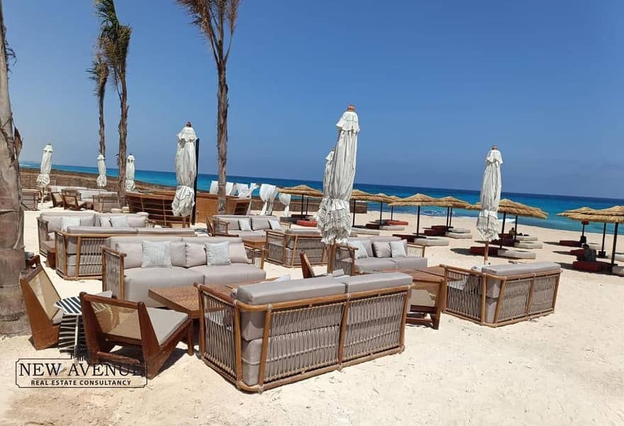 5 b3925326-e78e-4262-abe1-7e23fa716d2d. jpg