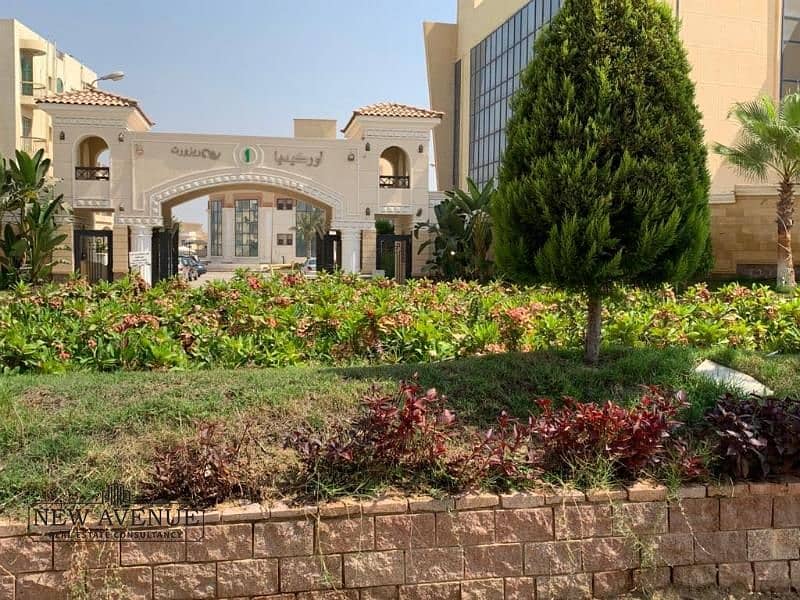 4 IMG-20251113-WA0014. jpg