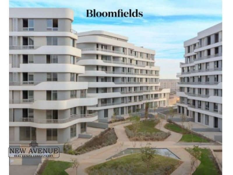 8 WhatsApp Image 2024-10-03 at 10.45. 44 AM (2). jpg