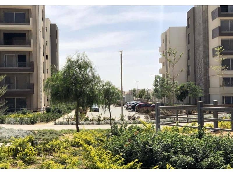 3 IMG-20251110-WA0086. jpg