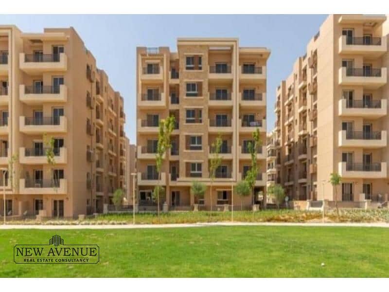 3 WhatsApp Image 2025-11-11 at 17.45. 09_b1d2cd8c. jpg