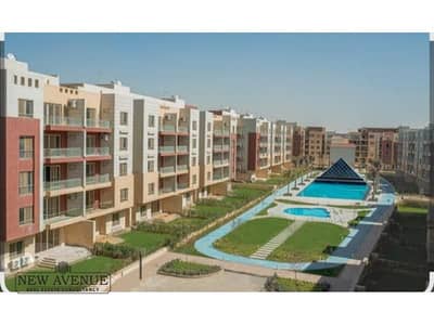 3 Bedroom Flat for Sale in New Cairo, Cairo - WhatsApp Image 2025-11-27 at 12.13. 45 AM (1). jpg 3 Bedroom Flat for Sale in New Cairo, Cairo - WhatsApp Image 2025-11-27 at 12.13. 45 AM (1). jpg