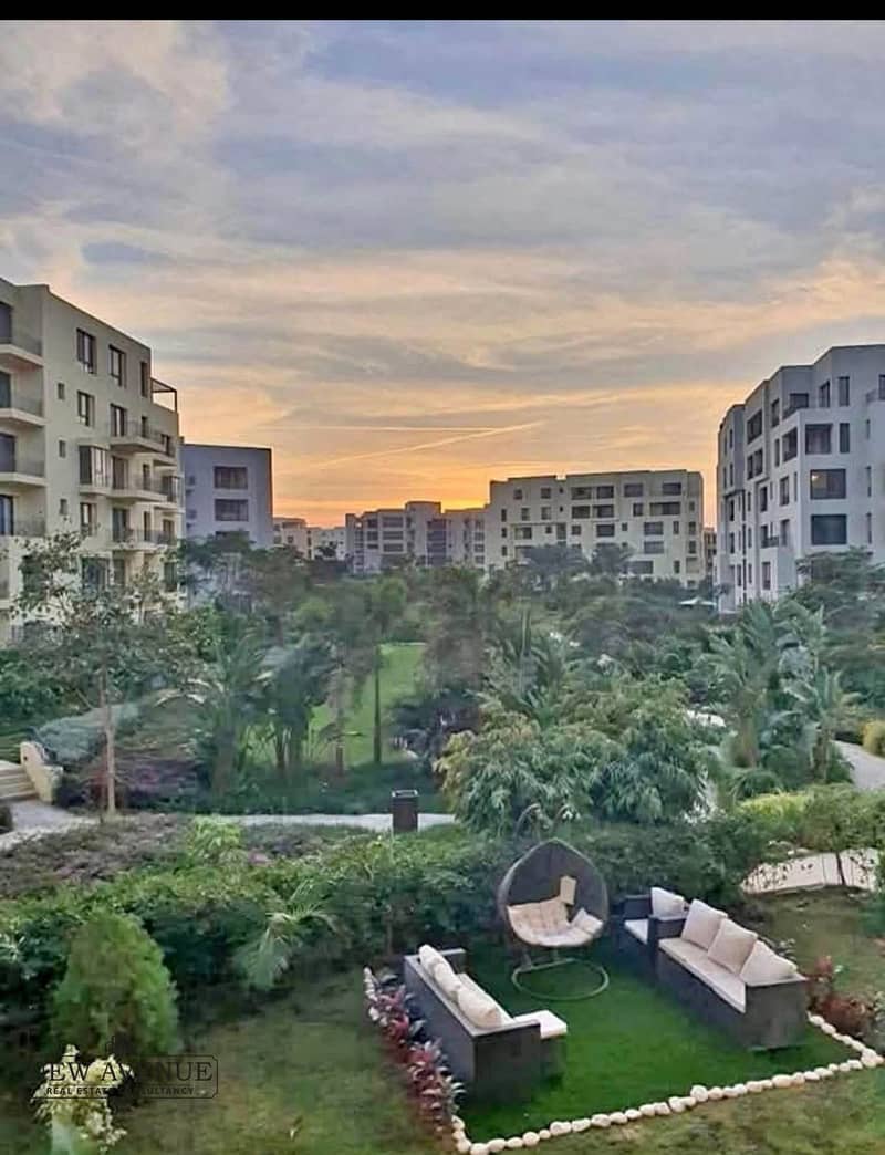 3 WhatsApp Image 2025-10-30 at 5.59. 18 PM (1). jpeg