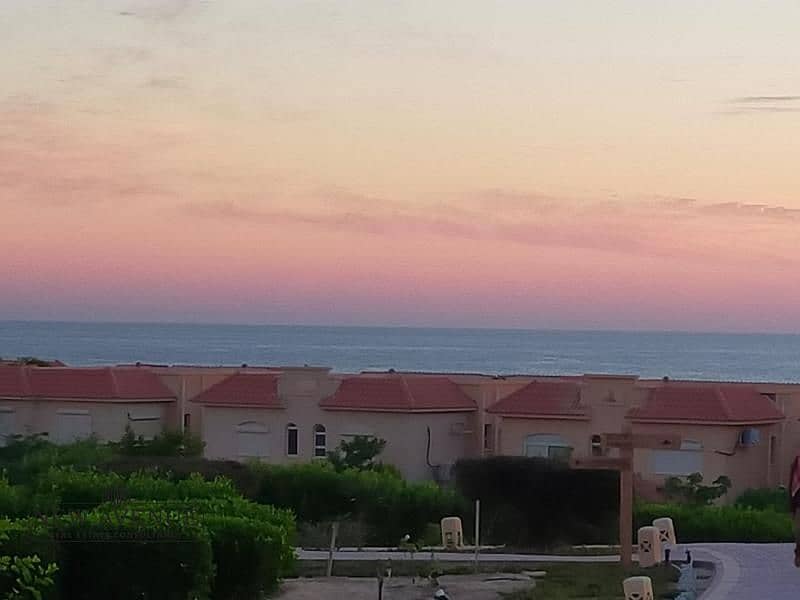 9 WhatsApp Image 2025-09-08 at 4.14. 32 PM. jpg