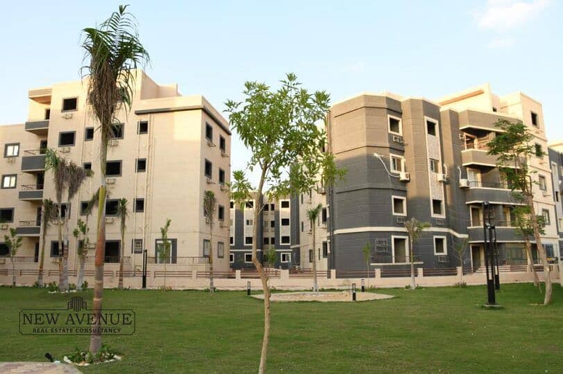 4 WhatsApp Image 2025-11-12 at 7.45. 53 PM (2). jpeg