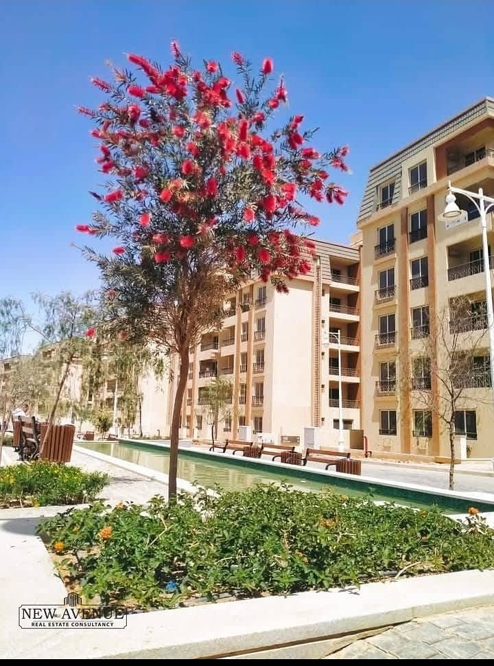 5 WhatsApp Image 2025-10-19 at 4.26. 41 PM. jpeg