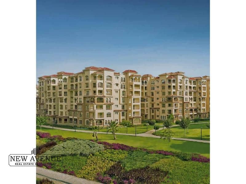 2 Rectangle-528-1. jpg