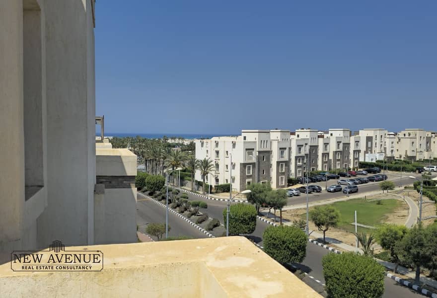 2 375ab7a2-0fac-4e85-82ab-80db2d35a656. jpg