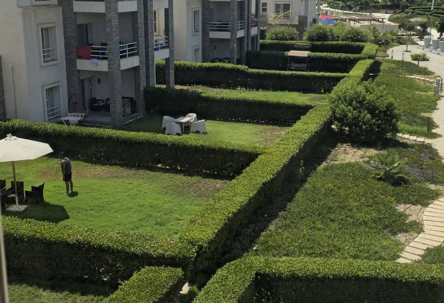 3 c052d0f3-0cda-42ef-9936-516b672d133a. jpg