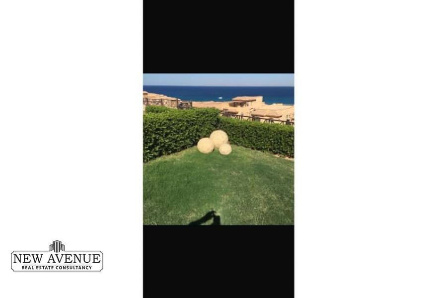 4 7668ad03-cc1b-44bf-a378-325eab468b71. jpg