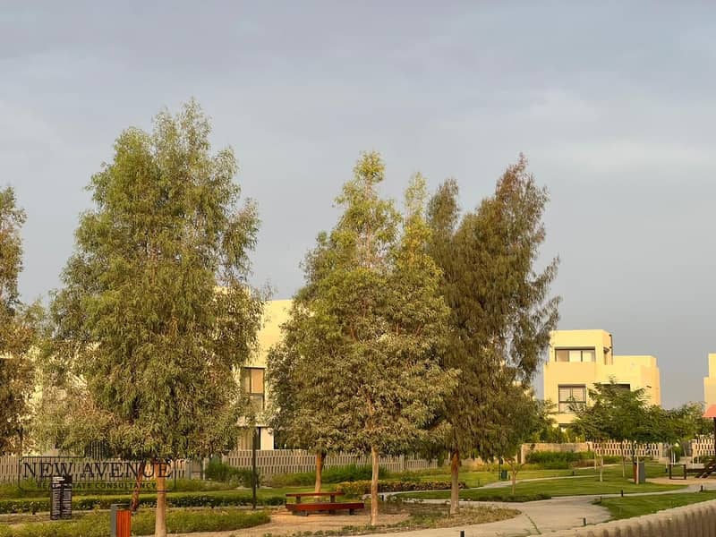 3 IMG-20251106-WA0168. jpg