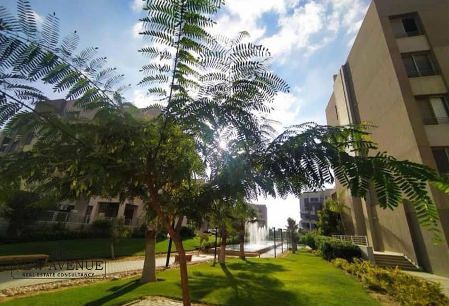 9 479957f8-864b-4f92-b615-aeaac5d2fa5f. jpeg