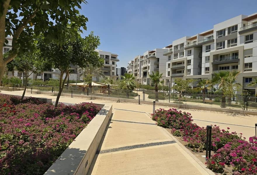 4 e52b4a9f-c0d8-4f20-aaff-544bc01475d8. jpg