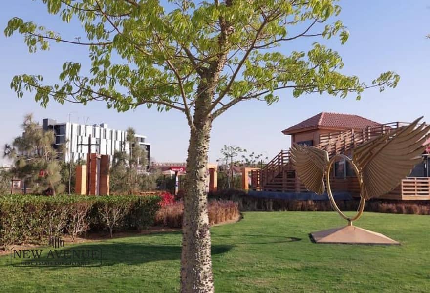 10 8e7eaa81-da12-4ba0-acca-4d0003a61af5. jpg