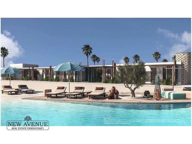 4 80c53998-9885-4f52-a1c3-56ca00df1ede. jpg