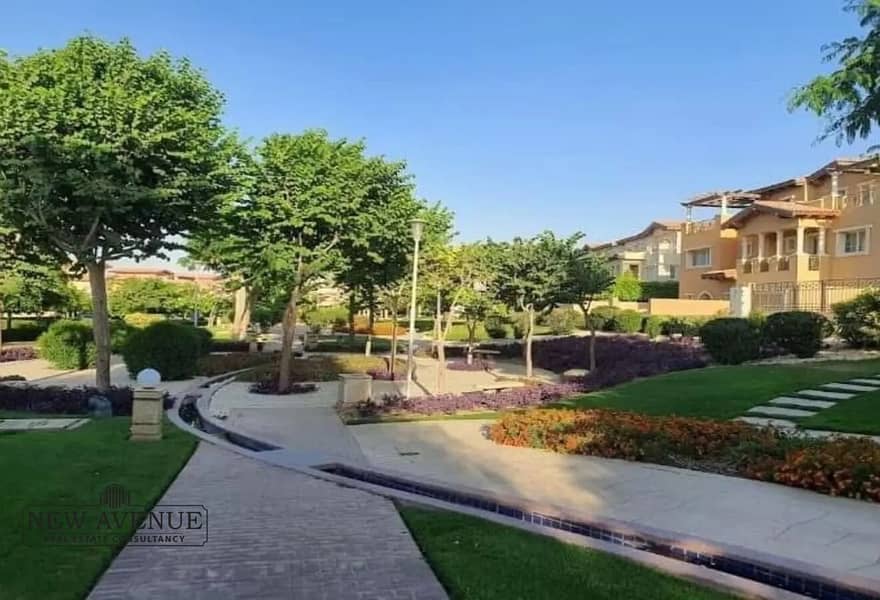 6 1b1a0184-bc99-4241-a025-9d5ef64c2594. jpeg