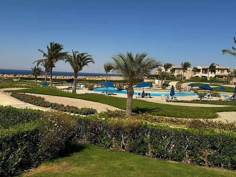 11 dfb4dacf-9693-4a95-8962-8267c1a7f08e. jpeg