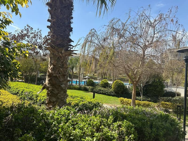 5 49035063-25aa-4b30-8ff0-855d3c6ce960. jpg