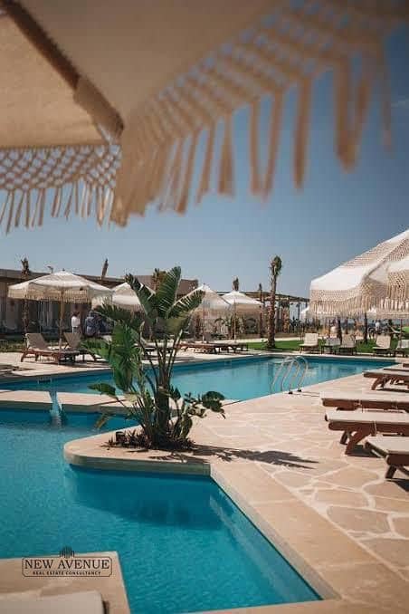 6 39552c87-069c-4631-9b3b-6d474cb73b11. jpeg