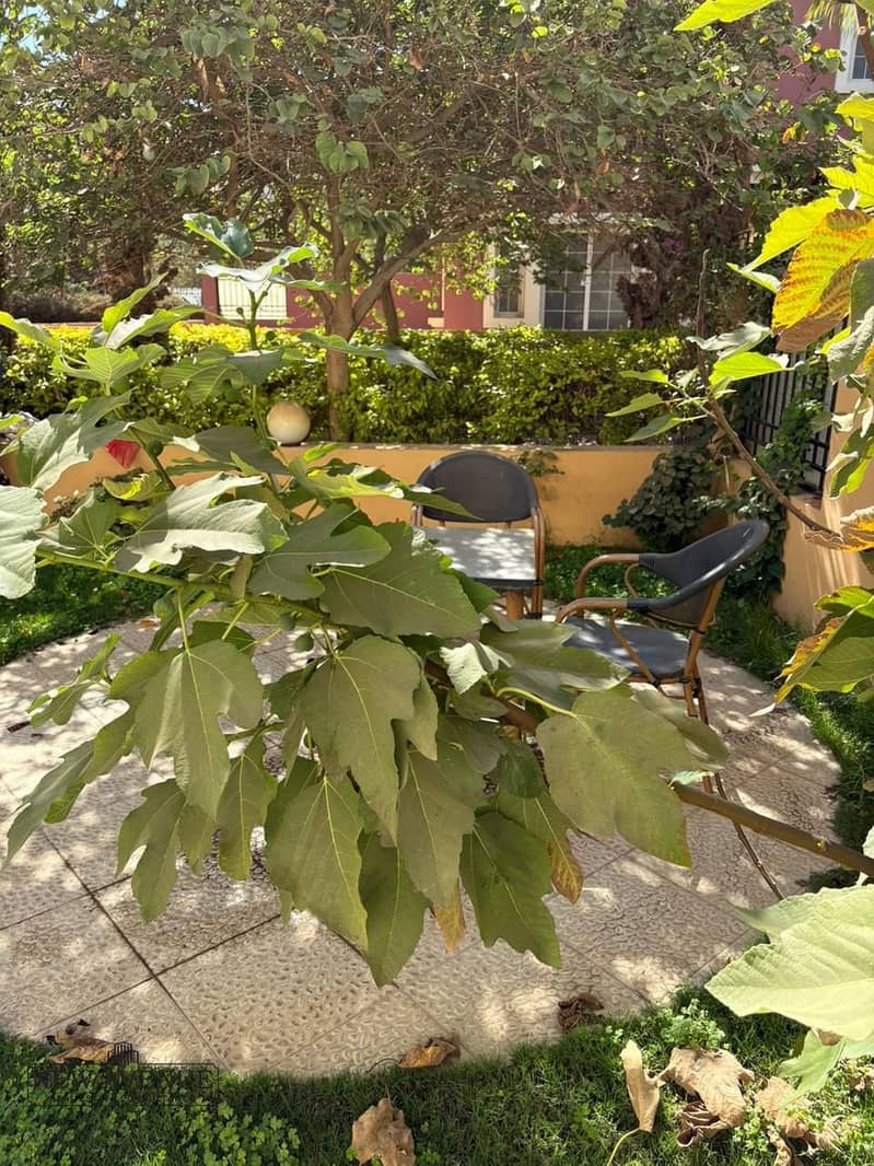 4 556d4738-c117-429d-8029-564276bd6ad3. jpeg