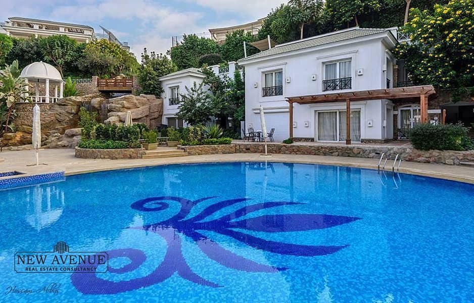 4 5ce847ca-dd4c-4421-824e-64337a5a003c. jpeg