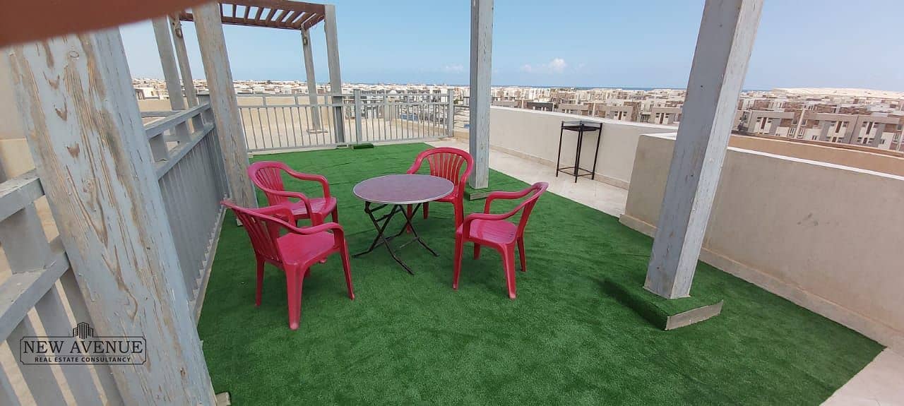 6 WhatsApp Image 2025-11-09 at 4.20. 30 PM (3). jpeg