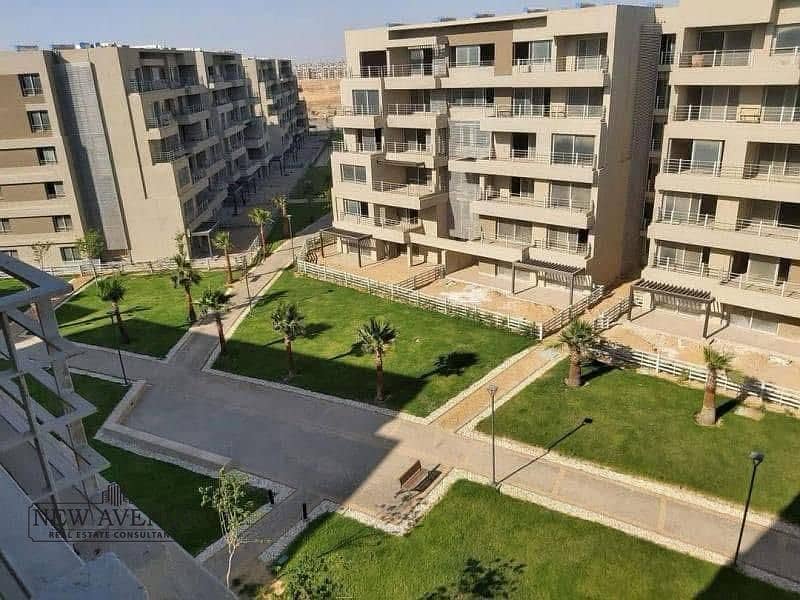 6 WhatsApp Image 2025-11-03 at 5.36. 40 PM. jpeg