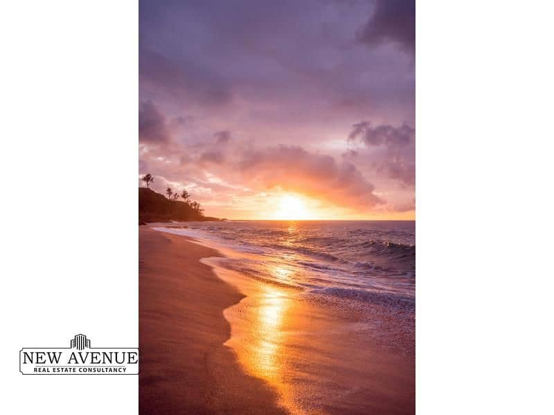 10 WhatsApp Image 2025-11-05 at 1.28. 10 PM (1). jpg