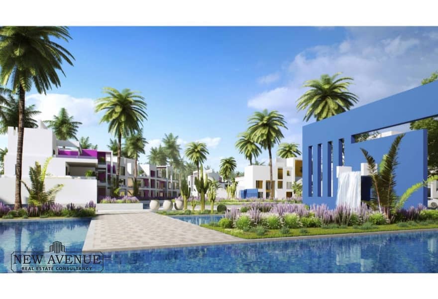 6 69f1d0ee-8de2-4558-9232-5b425033246d. jpg