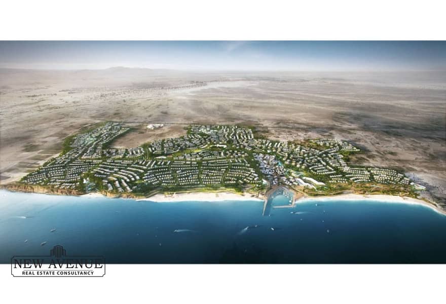 10 bc23710e-70e1-4c0a-a053-9506186a9ffd. jpg