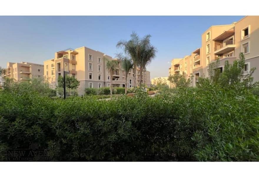 18 21e309e6-6b7b-47f4-ae69-c977fa806c27. jpg