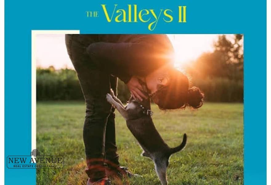 8 a6f4bfa1-0967-4960-8ebe-f61f3429a2a0. jpg