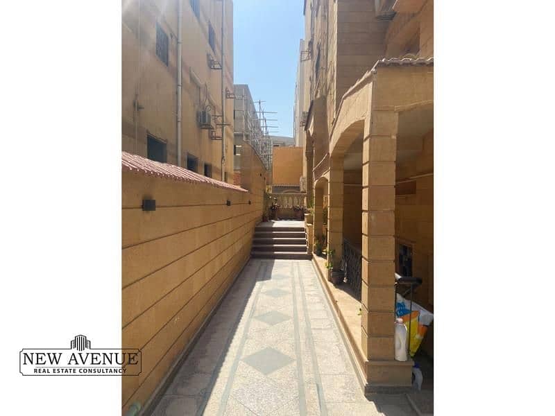 13 8d0d1d56-92c5-49b6-ba2f-79537fd9450a. jpg