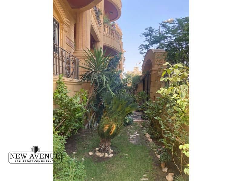 15 cd46cad3-ece1-4f01-ba1a-6c77b0344a9a. jpg