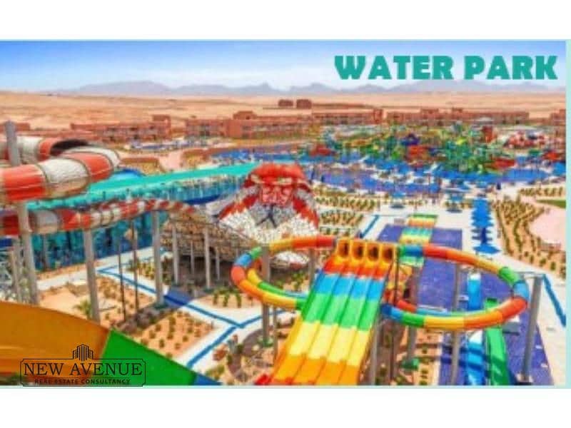 4 WhatsApp Image 2025-11-19 at 4.16. 24 PM (1). jpg