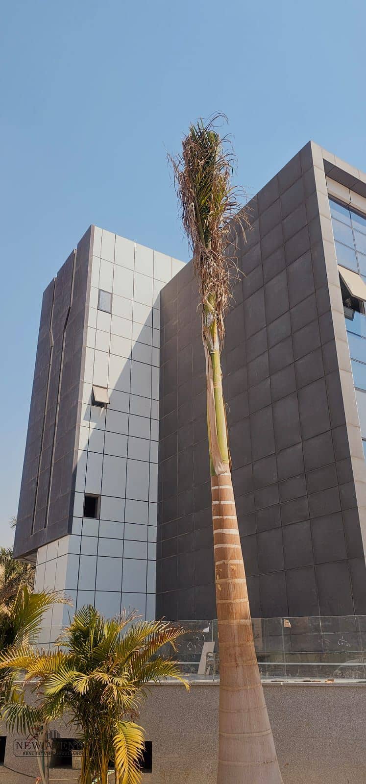 6 WhatsApp Image 2025-09-15 at 5.18. 37 PM. jpeg