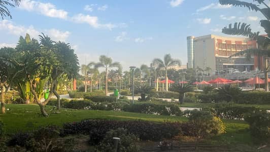 Office for Rent in New Cairo, Cairo - WhatsApp Image 2025-11-10 at 2.27. 22 PM. jpeg