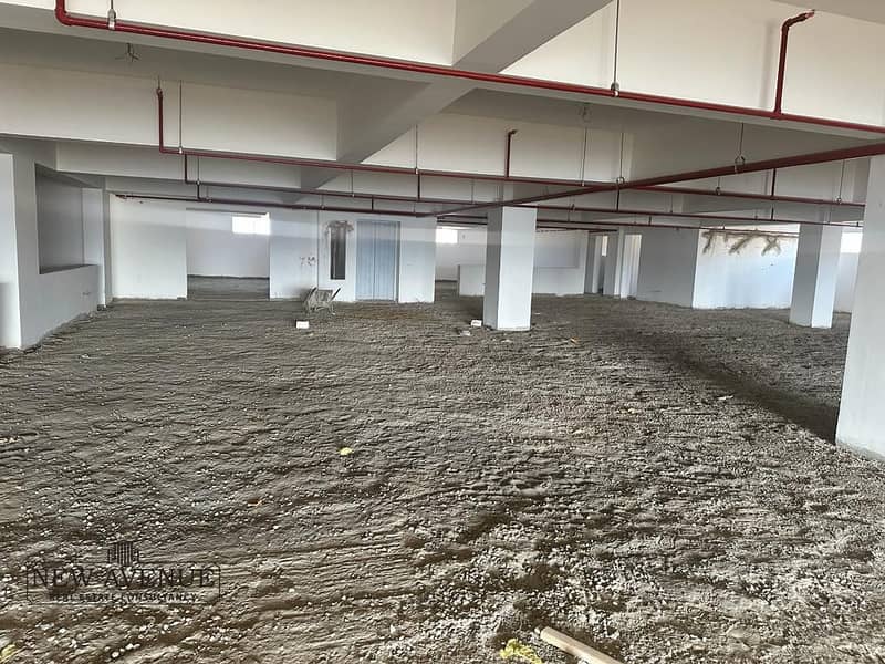 6 WhatsApp Image 2025-11-20 at 7.35. 47 PM (1). jpeg