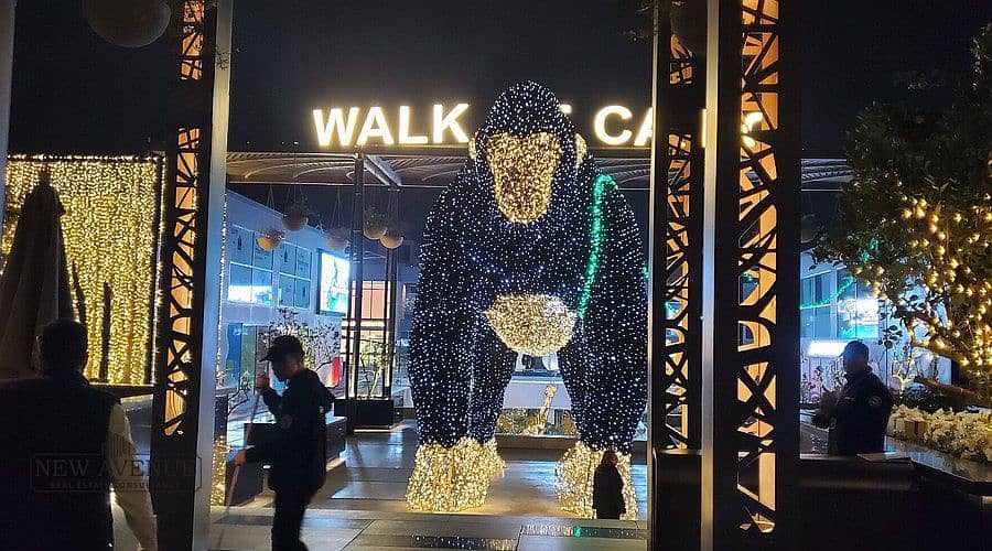 3 WhatsApp Image 2025-10-29 at 5.41. 15 PM (1). jpeg