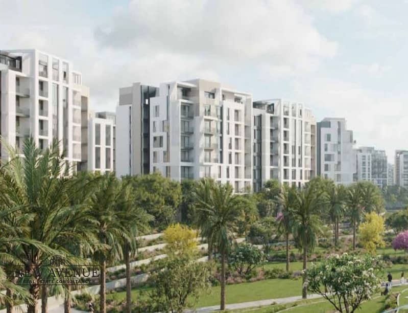 5 WhatsApp Image 2025-11-10 at 20.04. 36_968b0fb1. jpg