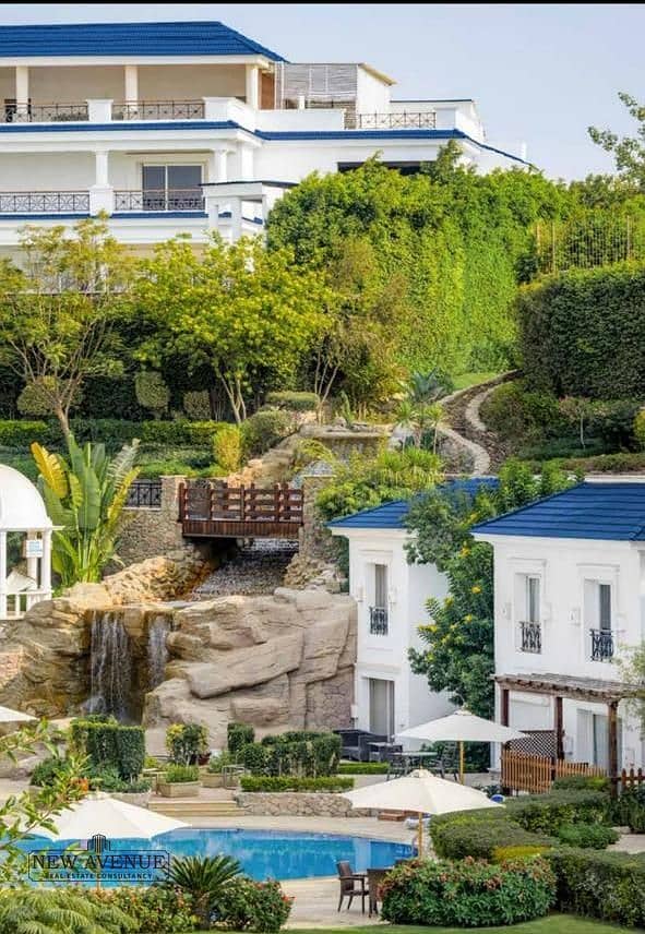 3 WhatsApp Image 2025-11-11 at 15.18. 28_e3fd6845. jpg