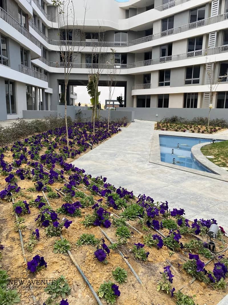 5 WhatsApp Image 2025-10-30 at 11.29. 16_321fbe66. jpg