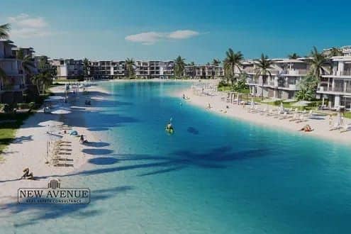 4 WhatsApp Image 2025-11-10 at 20.09. 04_b8c292fc. jpg