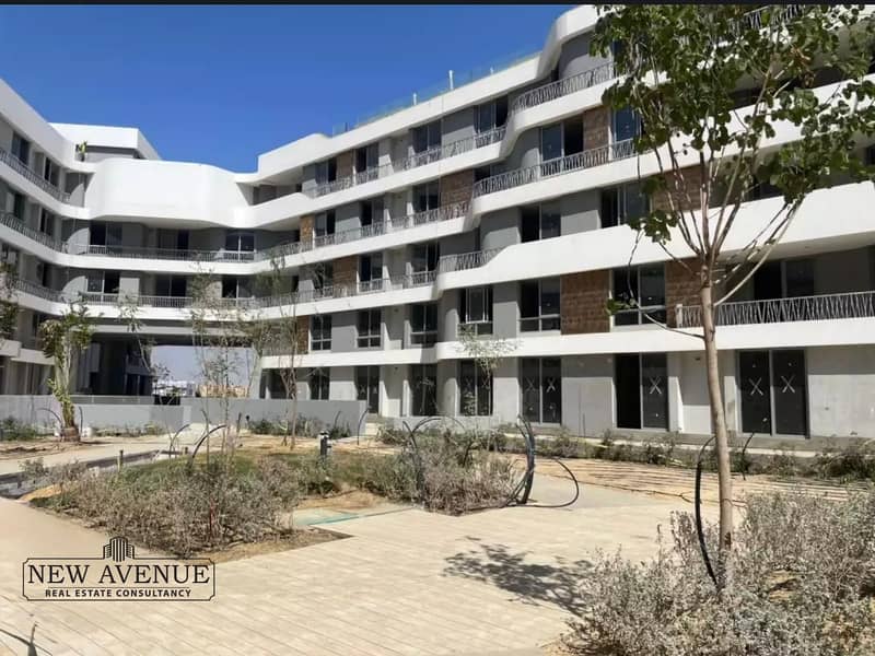 3 WhatsApp Image 2025-11-10 at 20.03. 39_daf512ad. jpg